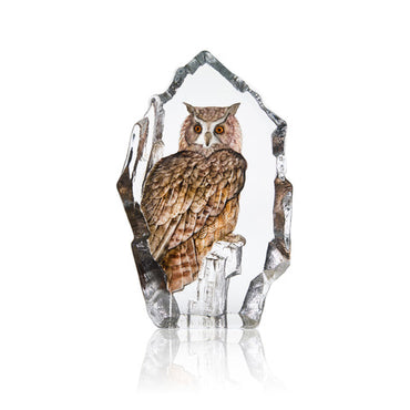 Eagle Owl Ltd Ed