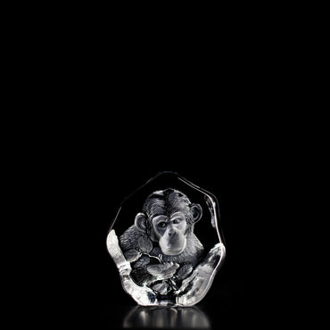 Chimp