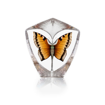 Butterfly Orange