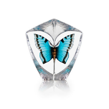 Butterfly Blue