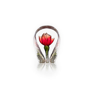 Rose Bud