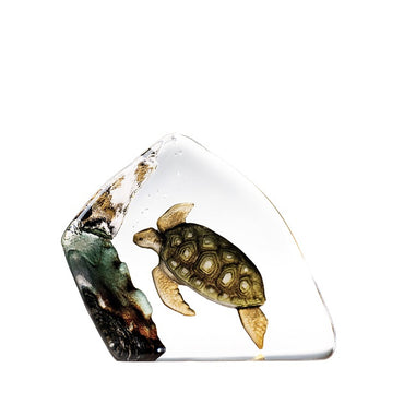 Sea Turtle