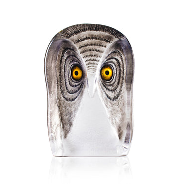 Owl, Large