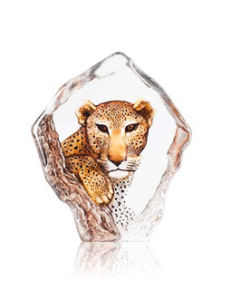 The Big Five - Leopard Ltd Ed