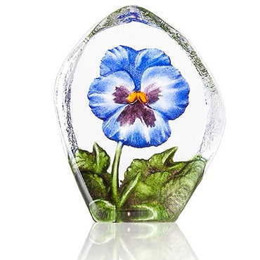 Pansy Blue