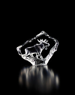 Moose Bull, Mini