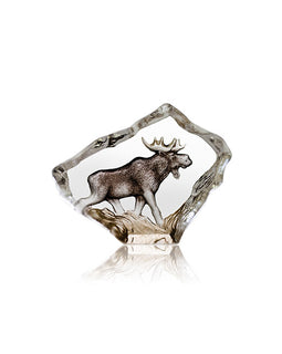 Moose, Mini